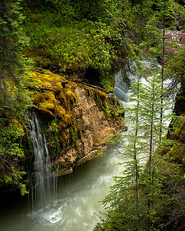 view from  Bridge 4 in Maligne Canyon, Jasper Natl Park