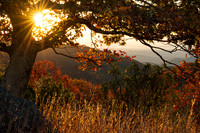 Autumn Glow along the Blue Ridge Parkway
