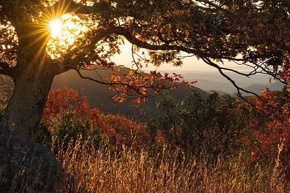Autumn Glow along the Blue Ridge Parkway