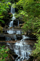 Logging Road falls