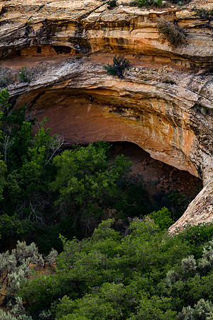 Butler Wash Ruins, Utah