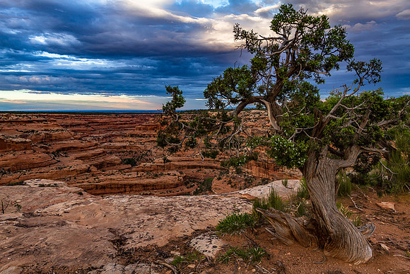 Road Canyon at dusk
