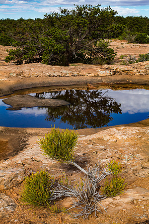 potholes on the rim hike to the Citadel Ruins