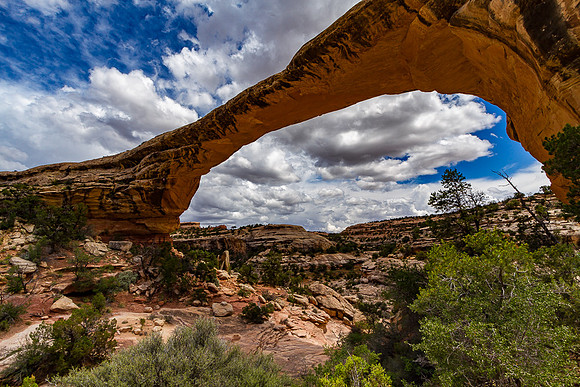 Owachomo Bridge, Natural Bridges National Monument, Utah