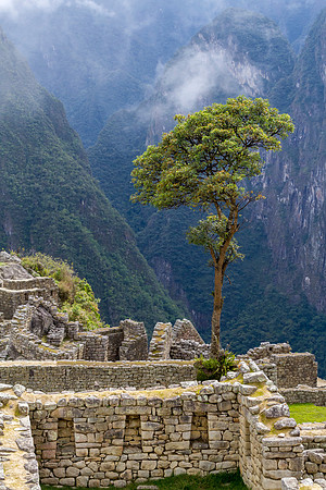 view into the Machu Picchu ruins