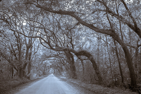 entrance into Botany Bay, SC
