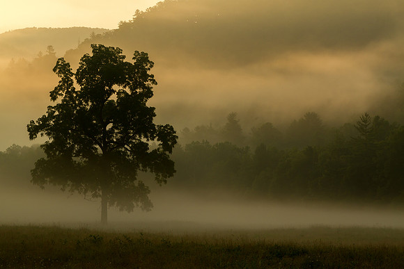 Cataloochee dawn, Great Smoky Mtns National Park, NC