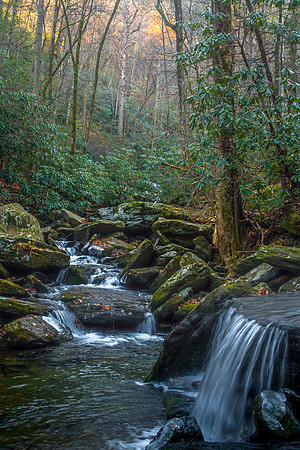 Catawba River headwaters, Pisgah National Forest, NC