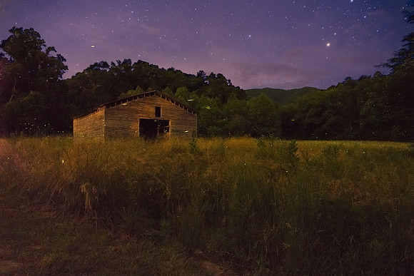 Fireflies and starry night, Cades Cove, TN