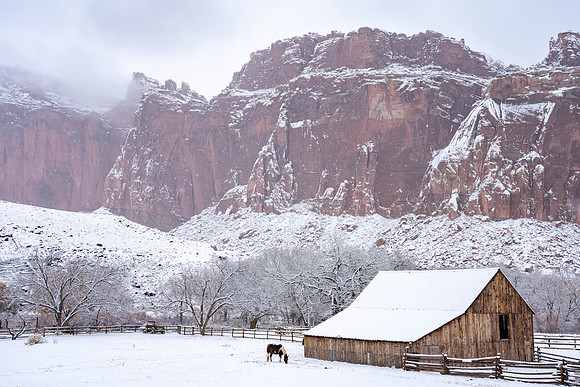 Snow at the Gifford barn