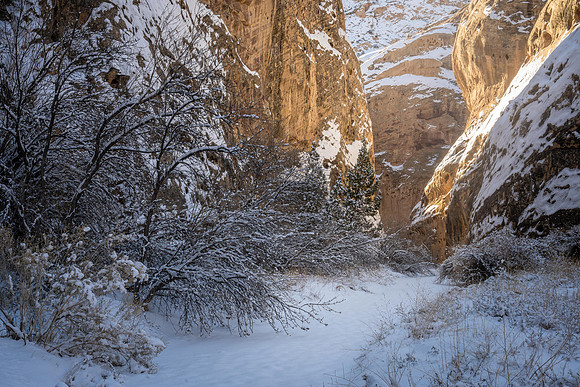 Canyon Glow
