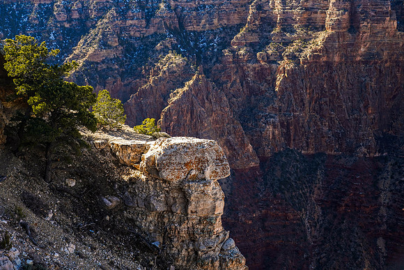 Grand Canyon overlook